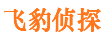 城西侦探公司